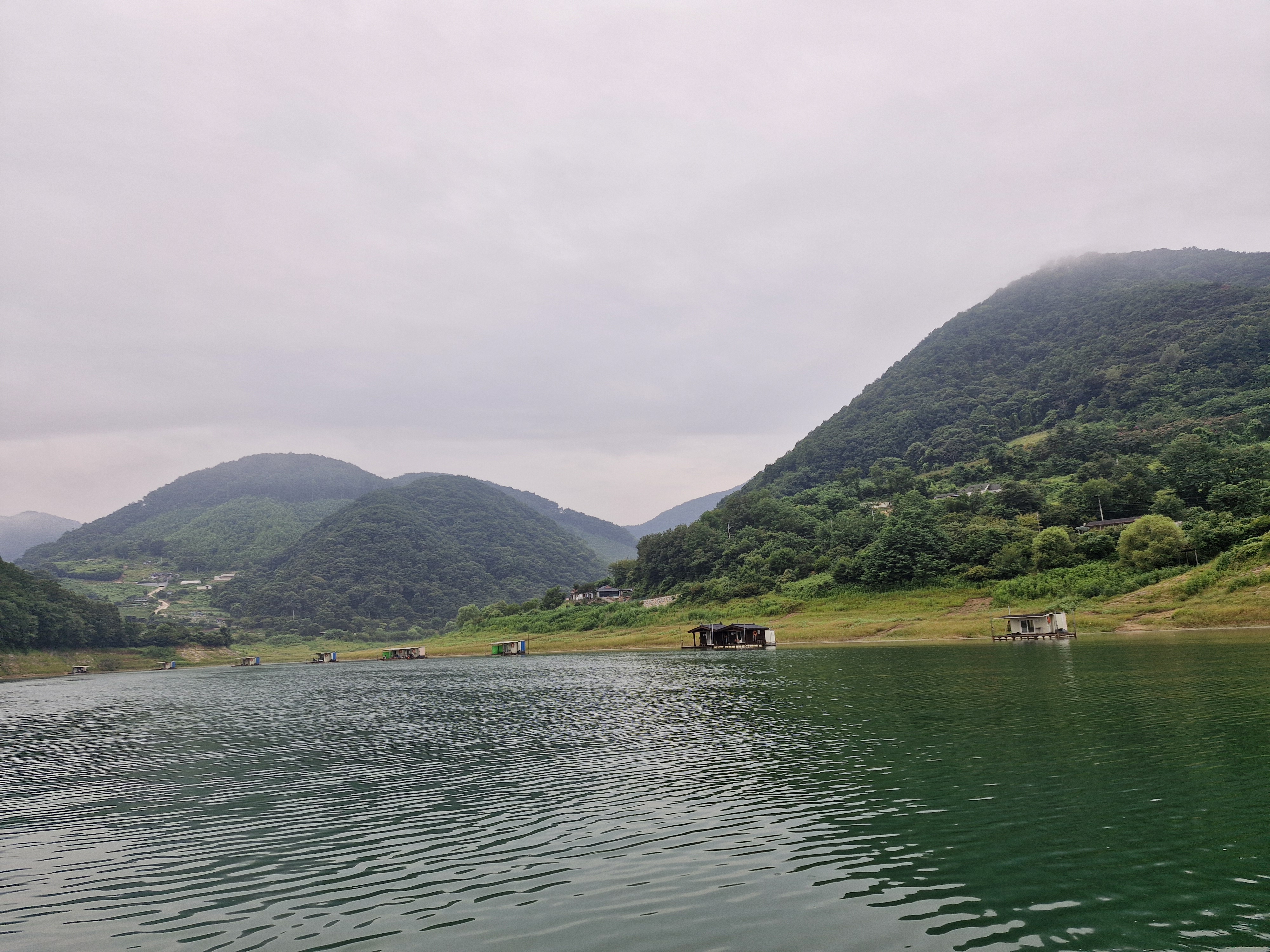 20250809_062841.jpg