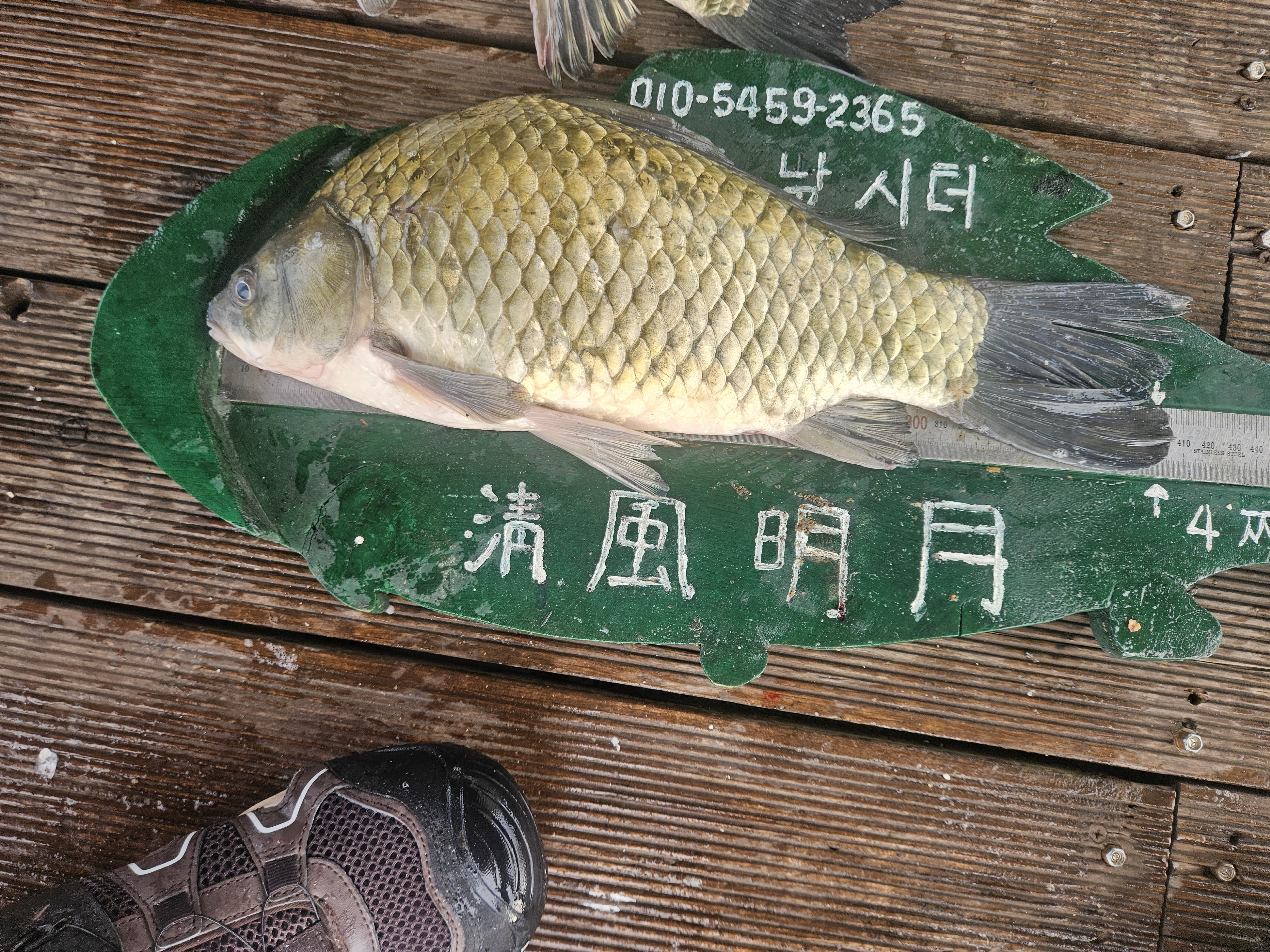 KakaoTalk_20260726_083239559.jpg