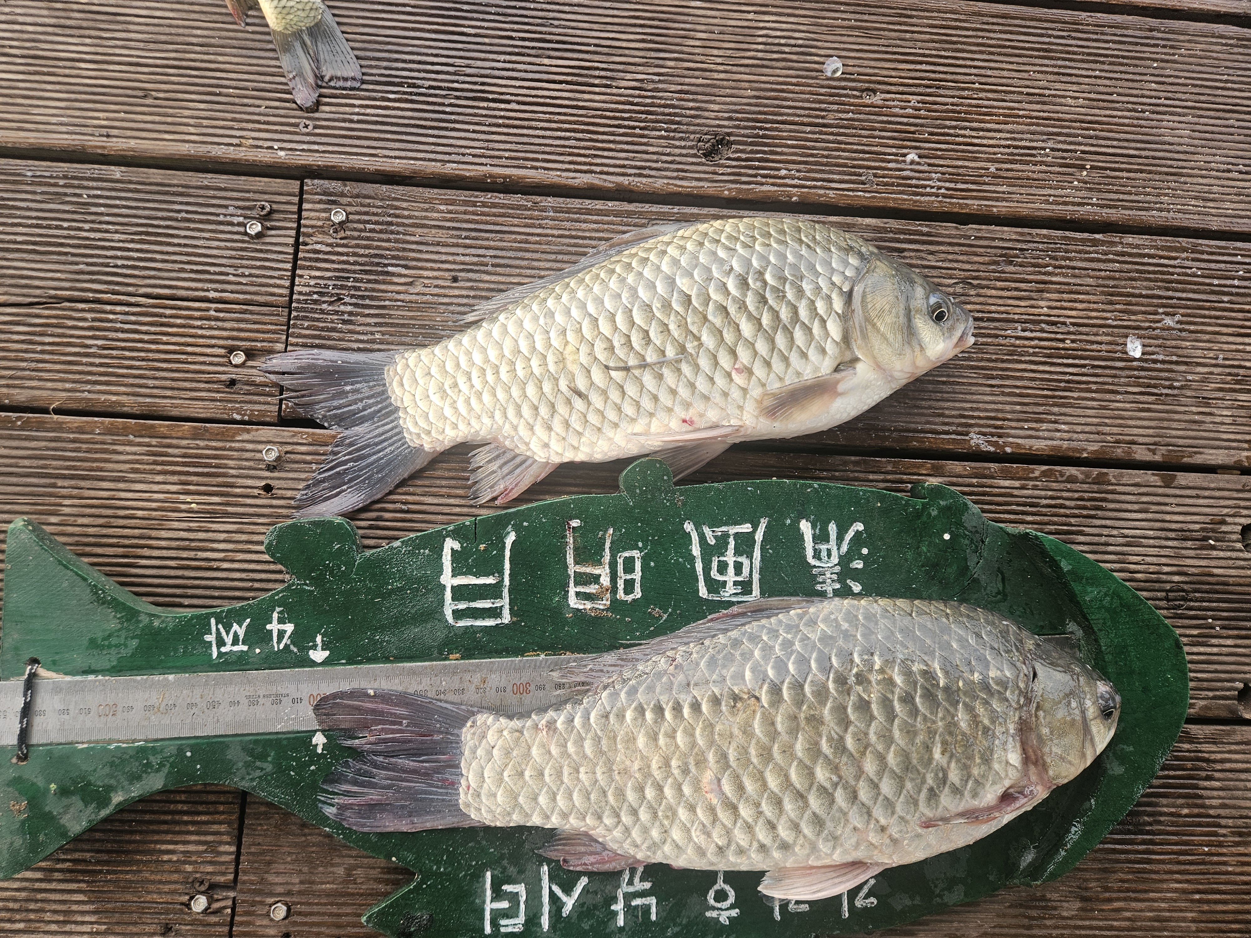 KakaoTalk_20260726_083251434.jpg